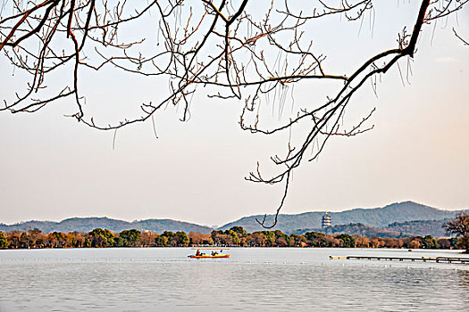 杭州西湖秋景枯枝
