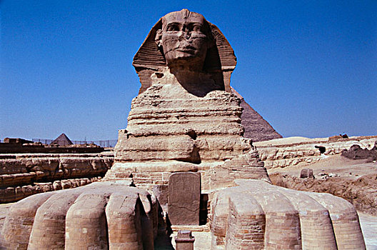埃及,雕塑,狮身人面像,吉萨金字塔,大幅,尺寸