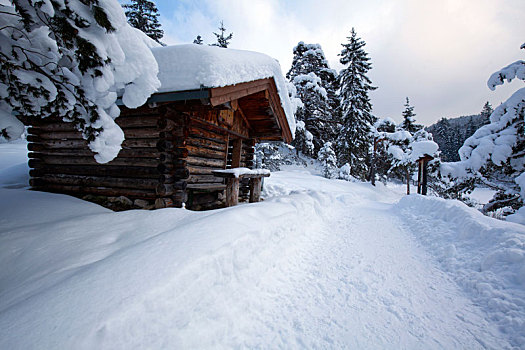 雪,木屋,风景