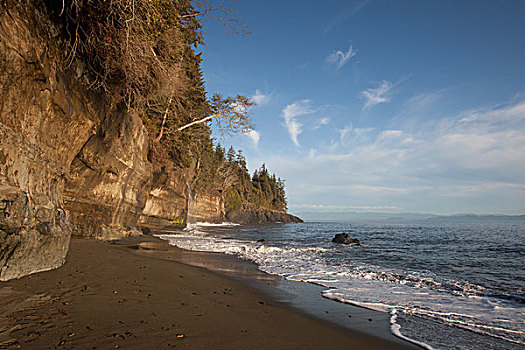 砂岩,悬崖,海洋,小路,温哥华岛,不列颠哥伦比亚省,加拿大