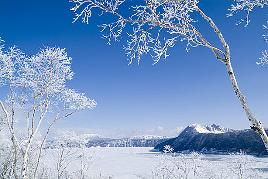 湖,冬天,银,霜