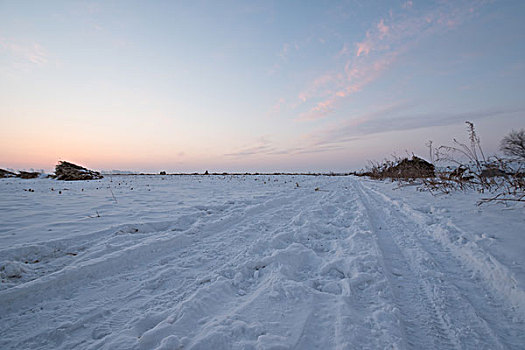 雪覆盖的路