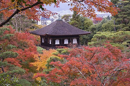 花园,庙宇,京都,关西,本州,日本