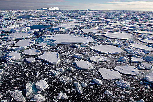 浮冰,南大洋,英里,北方,东方,南极