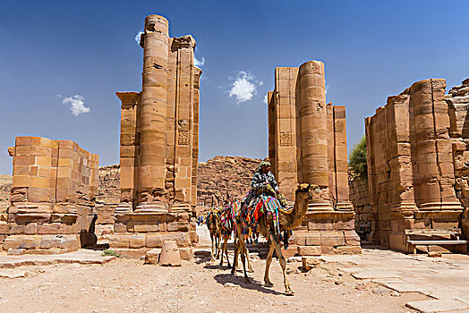 骆驼,大门,列柱,街道,佩特拉,约旦