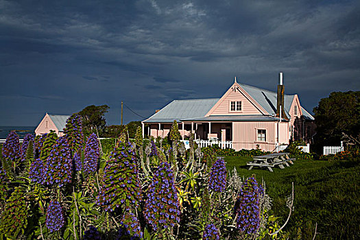 历史,房子,马尔伯勒,南岛,新西兰