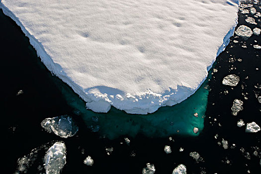 南极,南极半岛,靠近,阿德莱德,岛屿,浮冰,冰
