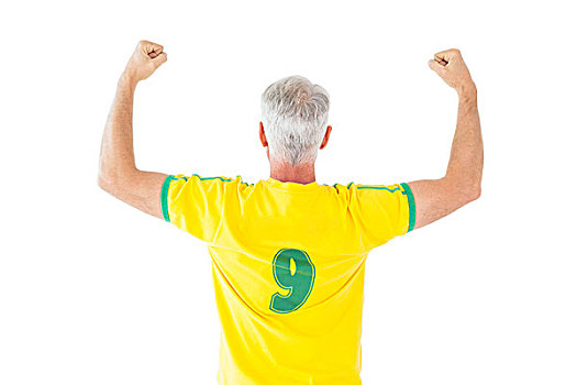 巴西人,球迷,黄色,欢呼