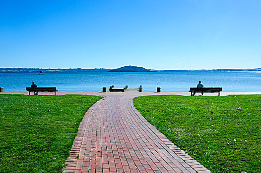 岸边,湖,罗托鲁瓦,北岛,新西兰