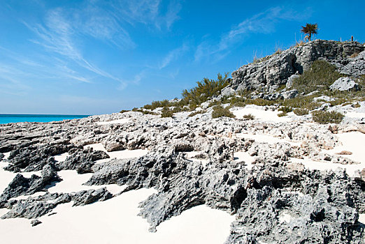 巴哈马,岩石,海滩