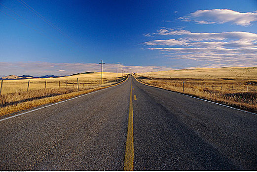 道路,风景