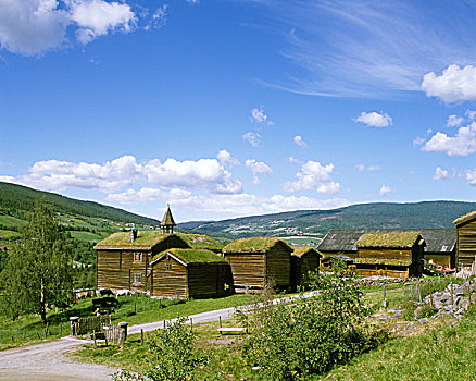 草,屋顶,房子,挪威北部,斯堪的纳维亚,欧洲