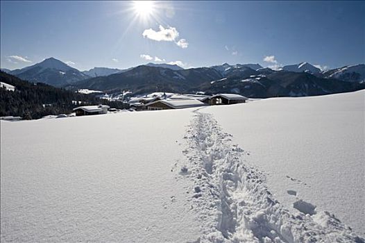 轨迹,冬季风景,提洛尔,奥地利