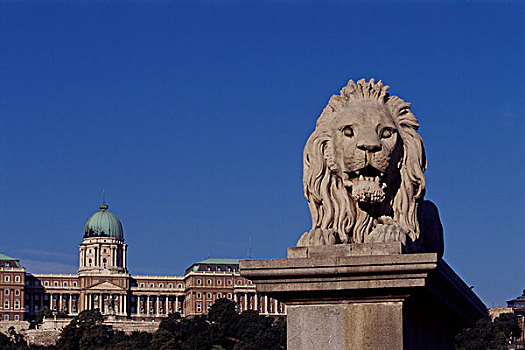 匈牙利,布达佩斯,链索桥,皇家,城堡,狮子