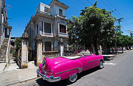 哈瓦那,古巴,粉色,经典,20世纪50年代,汽车,漂亮,附近,停放