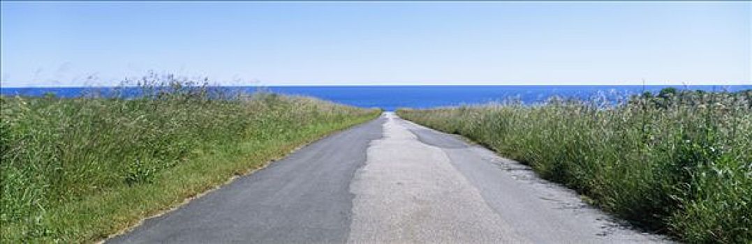 道路,海洋,背景