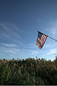 美国国旗,地点,远处,纽约,美国