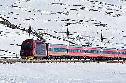 长途,奥斯陆,山,东方,火车站,高原,红色,积雪,山景,冬天,霍达兰,挪威