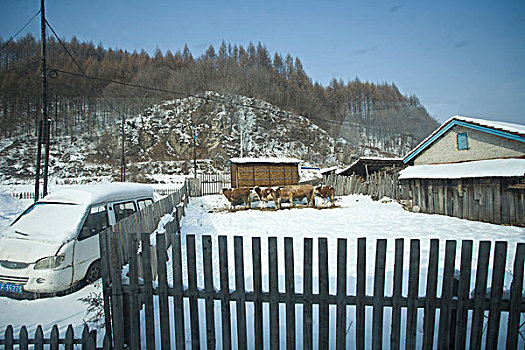 雪乡,雪村,吉林,临江市,村庄,山村,乡村,冬季,雪野,寒冷,农家,接待,旅游,松岭,东北,风情