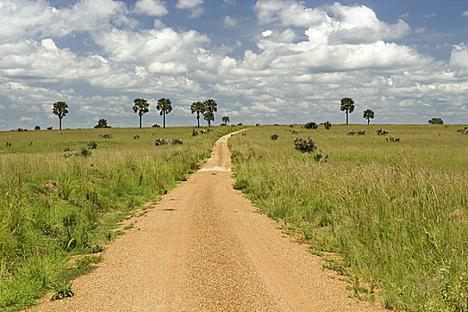 土路,通过,地点,乌干达