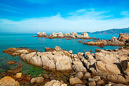 石头,海中,科西嘉岛,法国