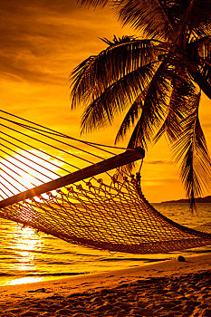 吊床,棕榈树,漂亮,日落,斐济群岛
