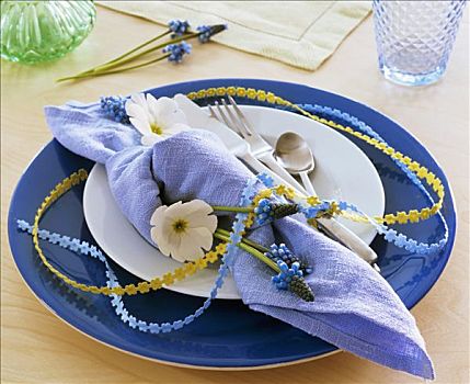 餐巾,装饰,樱草属植物,麝香兰