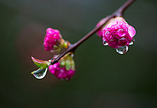 水点