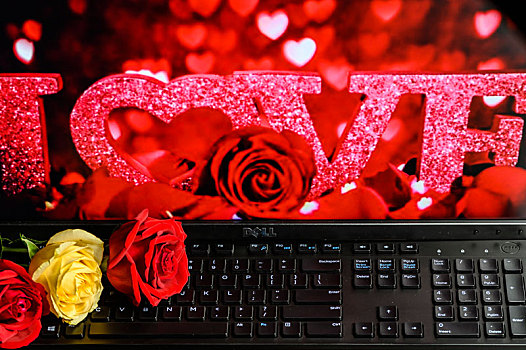 玫瑰花,电脑和键盘