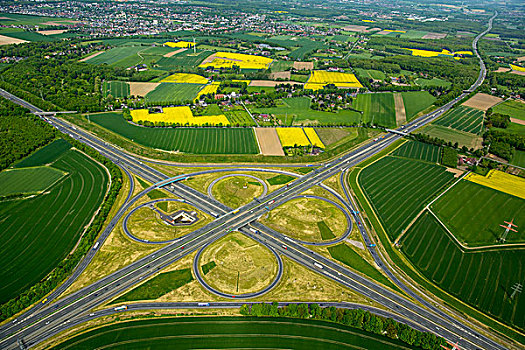 油菜籽,地点,高速公路,交叉,地区,北莱茵威斯特伐利亚,德国,欧洲