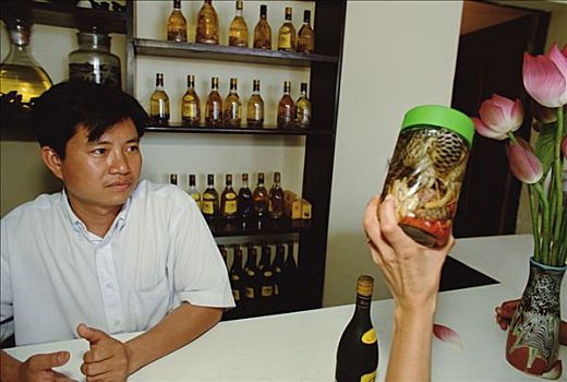葡萄酒,蛇,售出,特色,业务员,穿山甲,河内,越南
