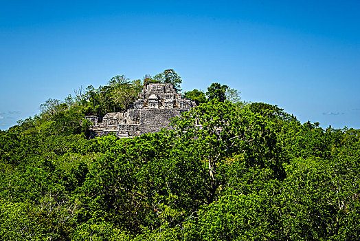 遗址,古城,玛雅,城市,卡拉克穆尔,发掘地,生物保护区,坎佩切,墨西哥,中美洲