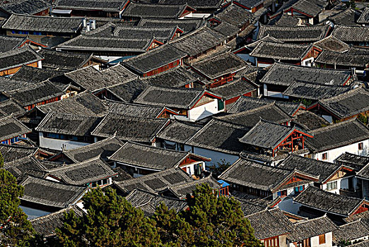 传统,木屋,瓷砖,屋顶,俯视,丽江,云南,西南方,中国