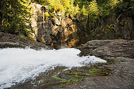 急流,麋鹿,瀑布,不列颠哥伦比亚省,加拿大