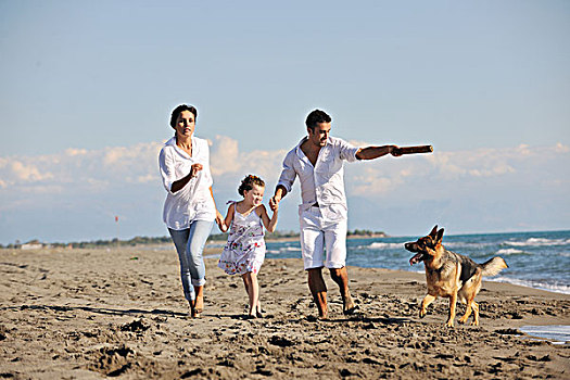 高兴,年轻家庭,白人,衣服,开心,玩,美女,狗,假期,海滩