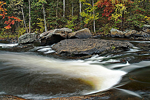 秋色,急流,河,靠近,瀑布,高地地区,安大略省,加拿大
