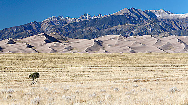 山,沙丘,国家公园,保存,科罗拉多,美国,北美