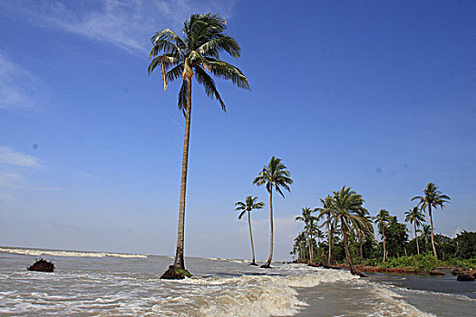 海滩,地区,孟加拉,九月,2007年