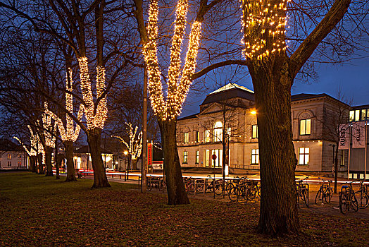 不莱梅,圣诞灯光,树,壁,黄昏,区域,德国,欧洲