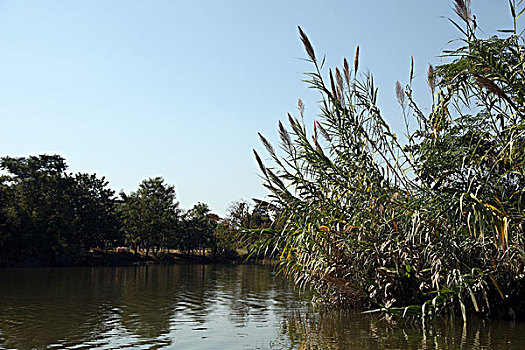 西溪,湿地,民居,建筑,杭州