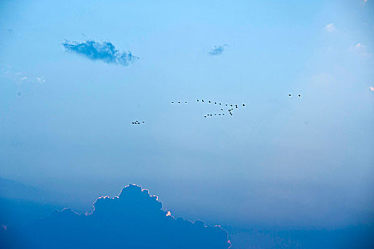 七里海,湿地,湖水,河流,秦皇岛,霞光,云彩,阳光,照射,日出,日落,鸟,飞翔,雁阵