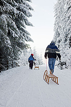 冬天,雪橇运动,旅游