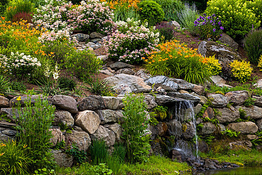 岩石花园,花,小,瀑布,东方镇,魁北克,加拿大,北美