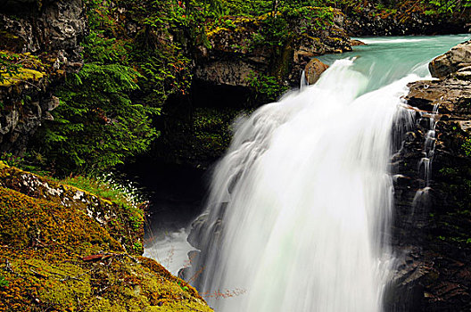 瀑布,贝克山-斯诺夸尔米国家森林公园,华盛顿,美国