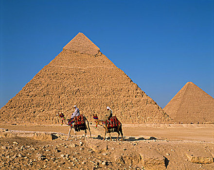 埃及,开罗,吉萨金字塔,卡夫拉,基奥普斯,金字塔,骆驼