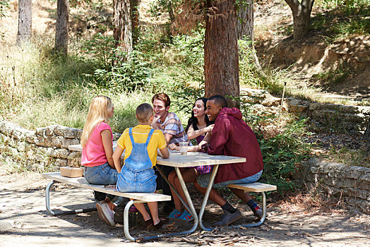 五个,年轻人,朋友,交谈,公园,野餐桌,洛杉矶,加利福尼亚,美国