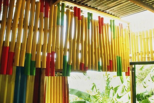 彩色,竹子,多巴哥岛,加勒比海