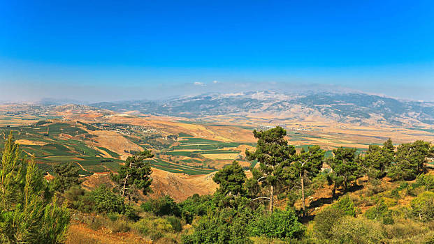 以色列农村风光图片图片