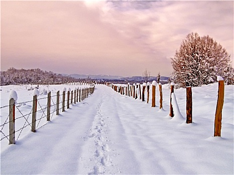 乡村,冬天,照片