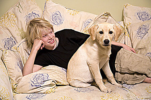 男孩,猎犬,小狗,沙发,温哥华,不列颠哥伦比亚省,加拿大